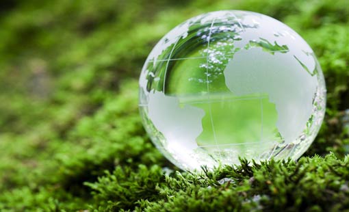 الهيكل العام للاقتصاد الإسلامي